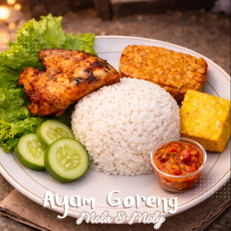 Paket nasi ayam goreng